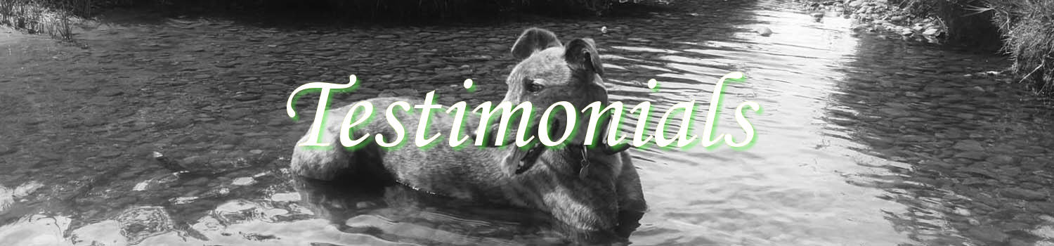 Sid Valley Dog Training Testimonials