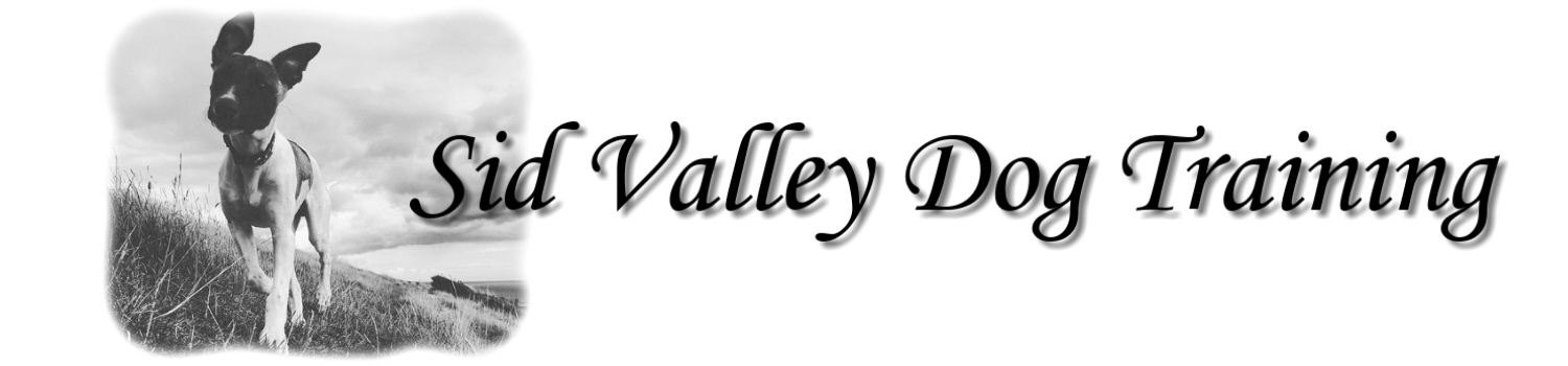 Sid Valley Dog Training